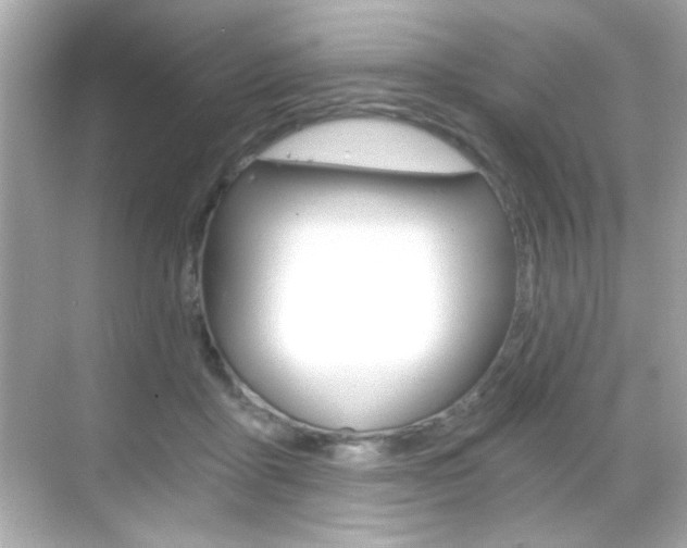 X0000068900411200605051146