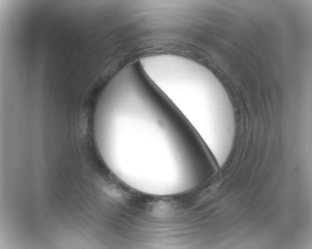 X0000068900412200605051146
