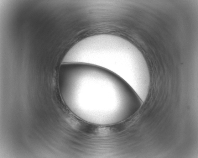 X0000068900413200605051146