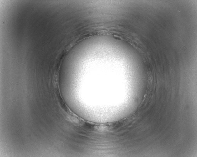 X0000068900419200605051146