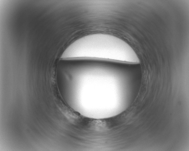 X0000068900421200605051146