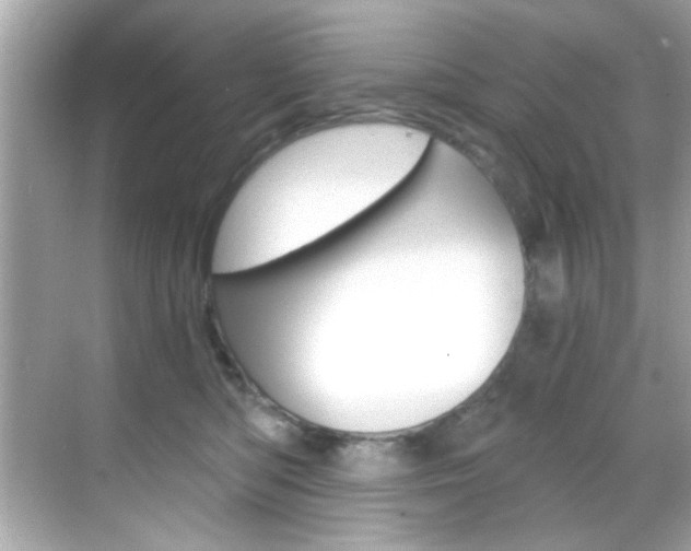 X0000068900422200605051146