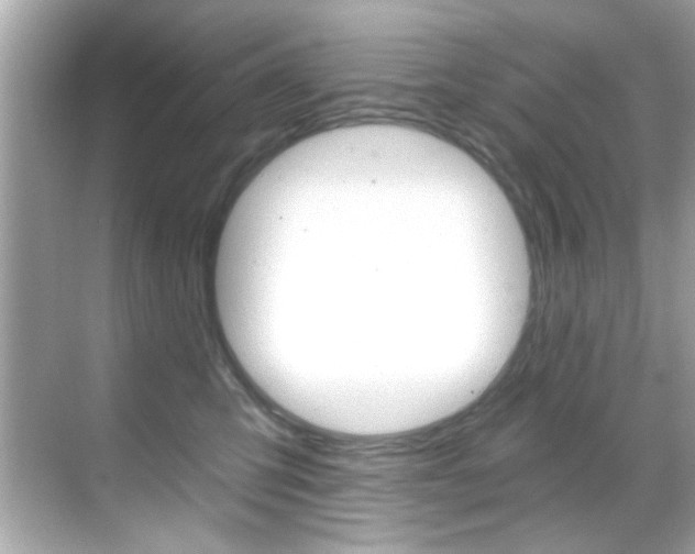 X0000068900423200605051146