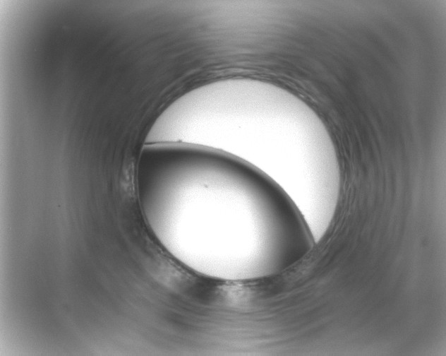 X0000068900425200605051146