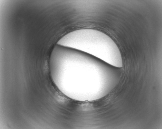 X0000068900426200605051146