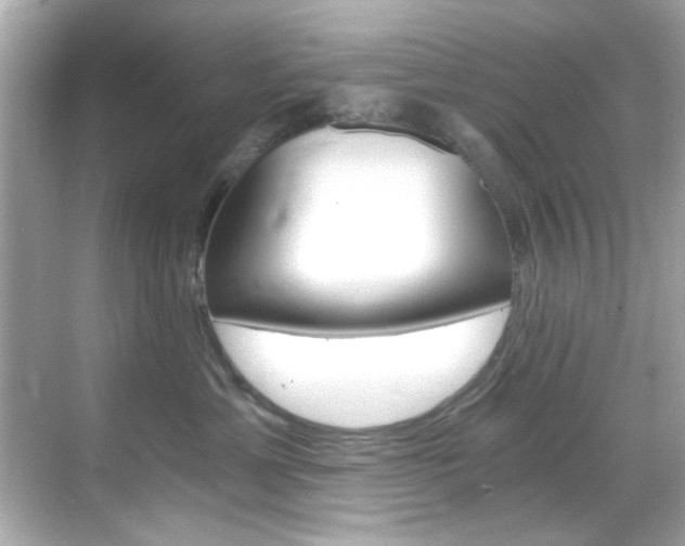 X0000068900429200605051146