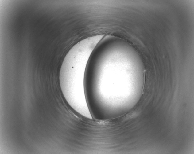 X0000068900432200605051146