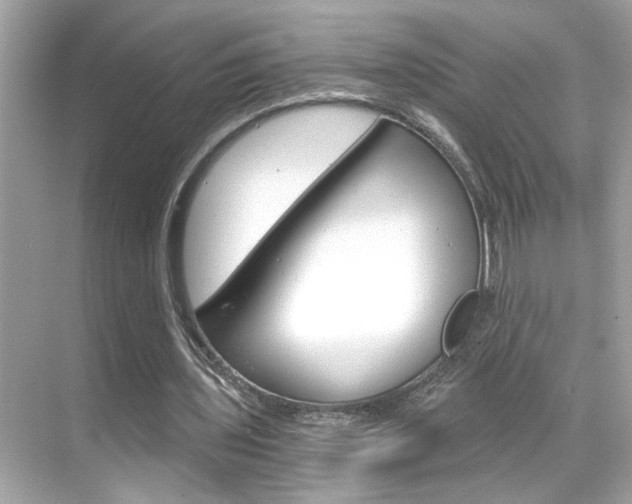 X0000068900435200605051145