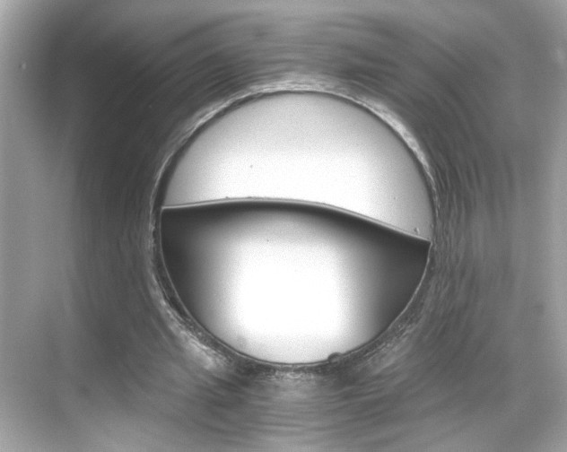 X0000068900437200605051145