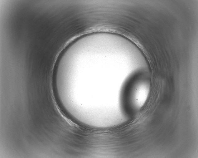 X0000068900438200605051145