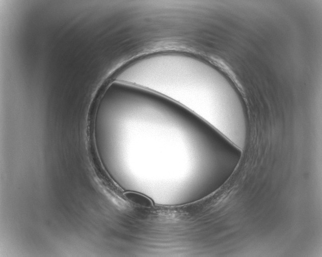 X0000068900439200605051145