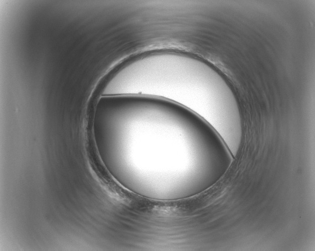 X0000068900440200605051145