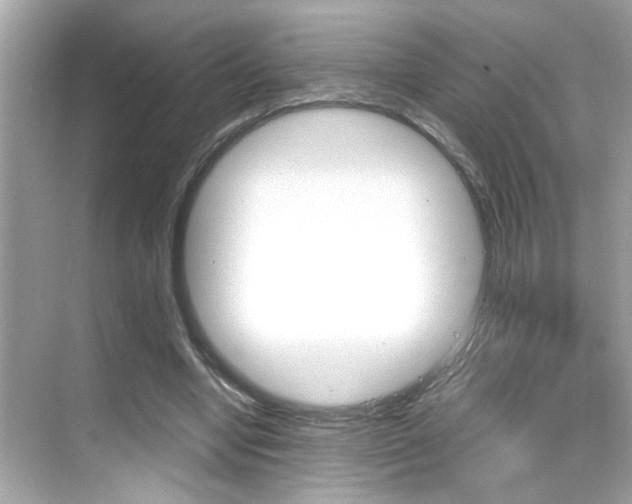 X0000068900442200605051145