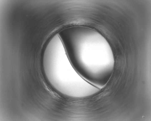 X0000068900446200605051145