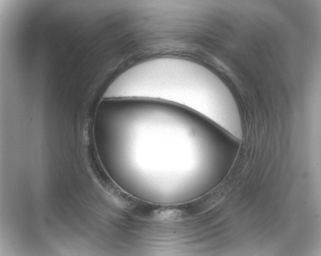 X0000068900452200605051145