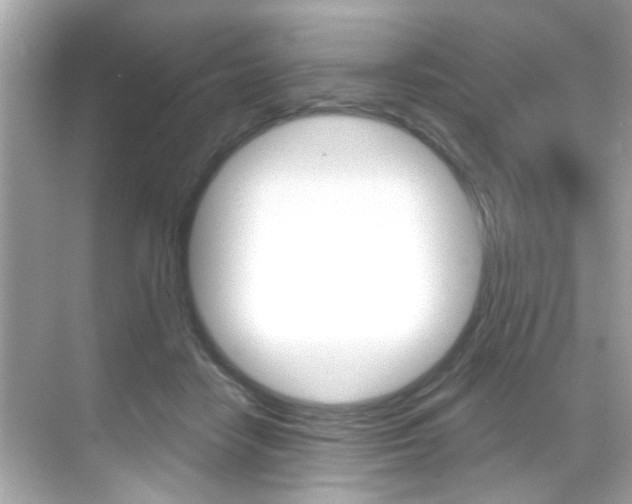 X0000068900458200605051145