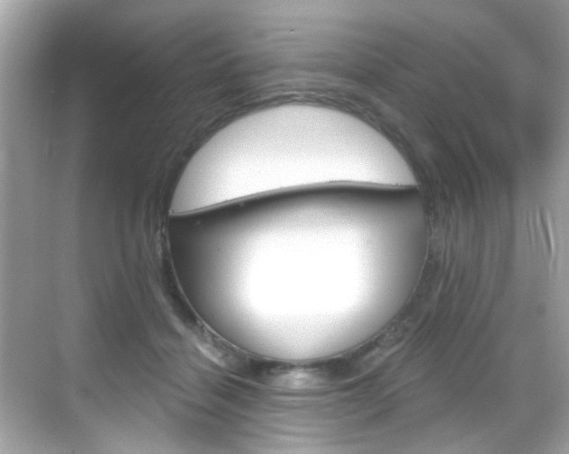 X0000068900460200605051145