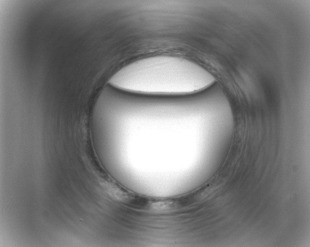 X0000068900461200605051145
