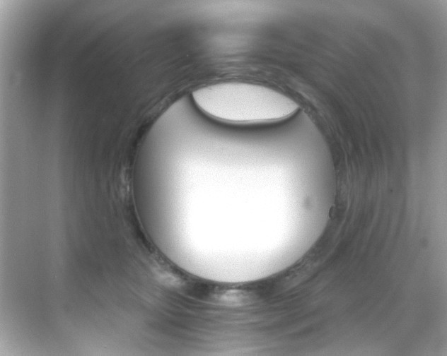 X0000068900467200605051145