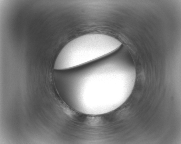 X0000068900469200605051145