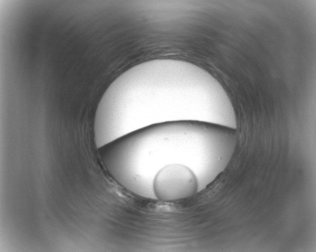 X0000068900475200605051145