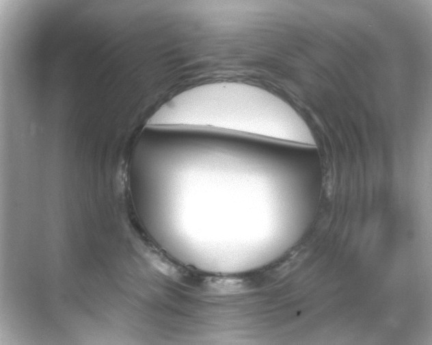 X0000068900476200605051145