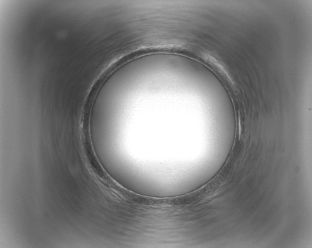 X0000068900483200605051145