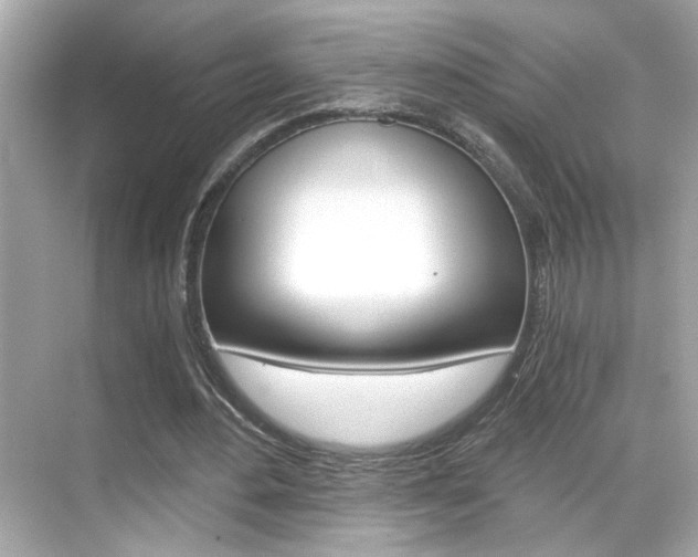 X0000068900484200605051145