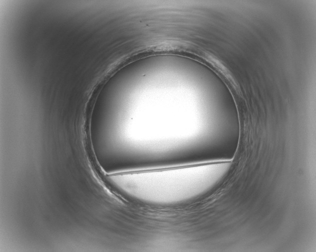 X0000068900485200605051145
