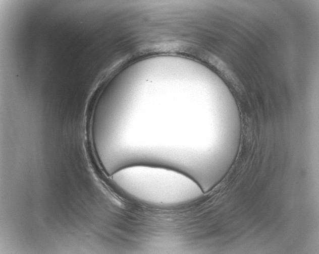 X0000068900486200605051145