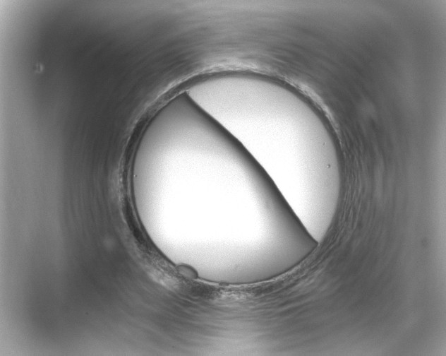 X0000068900487200605051145