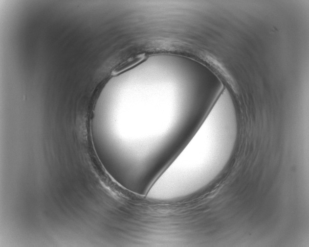 X0000068900489200605051145