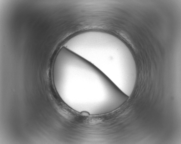 X0000068900491200605051145