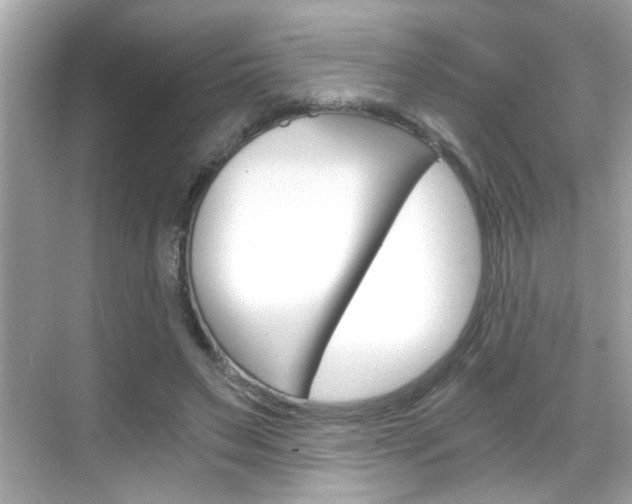 X0000068900495200605051144
