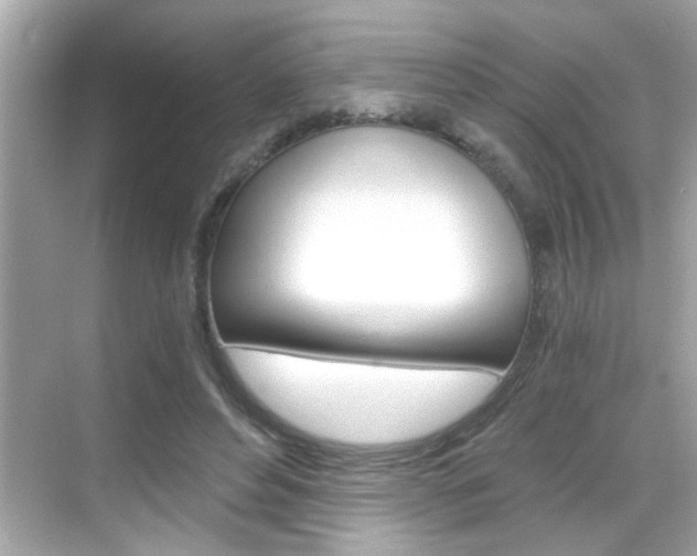 X0000068900496200605051144