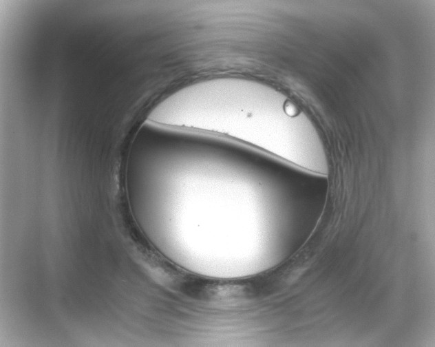 X0000068900501200605051144