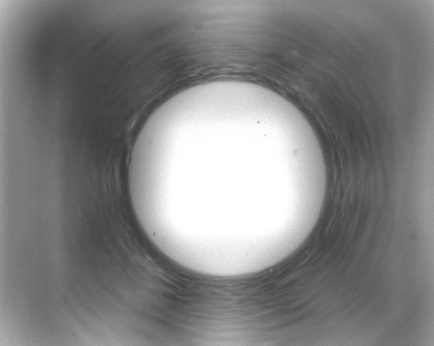 X0000068900508200605051144