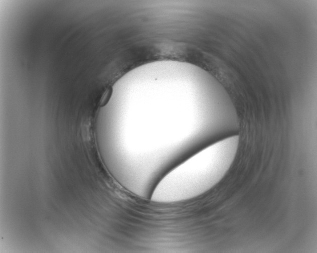 X0000068900514200605051144