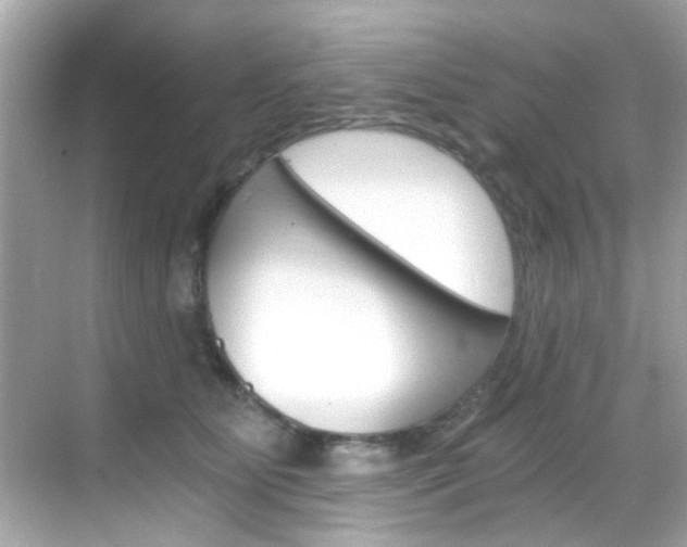 X0000068900515200605051144