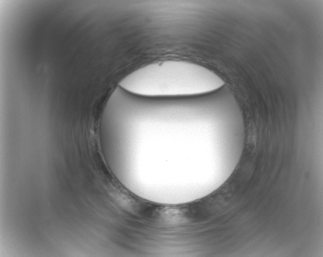 X0000068900518200605051144