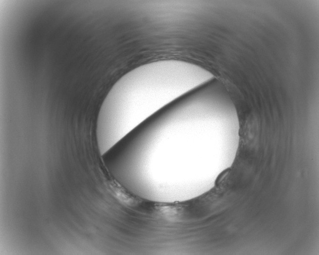 X0000068900522200605051144