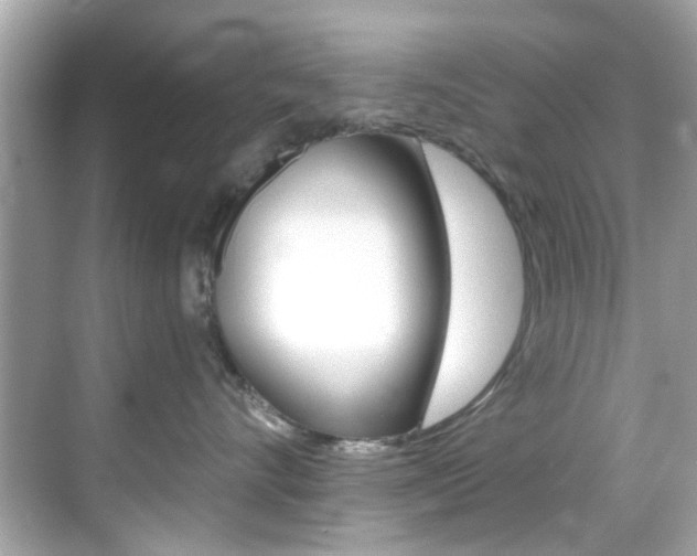 X0000068900528200605051144