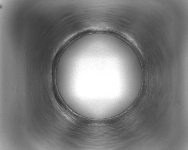 X0000068900535200605051143
