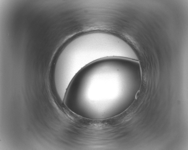 X0000068900540200605051143