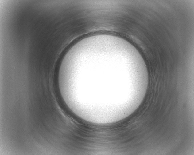 X0000068900544200605051143
