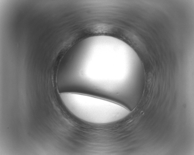 X0000068900547200605051143