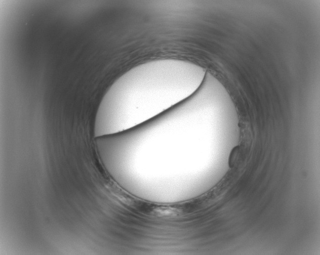 X0000068900557200605051144