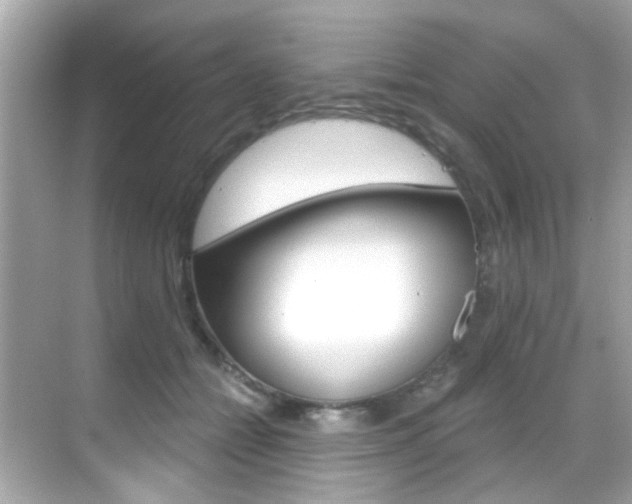 X0000068900558200605051144
