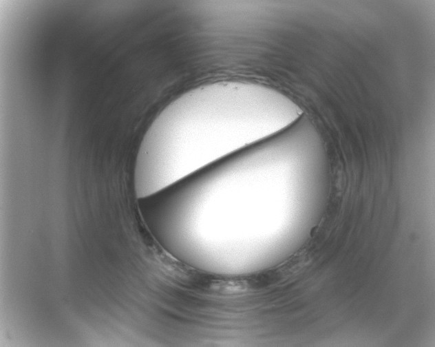 X0000068900559200605051144