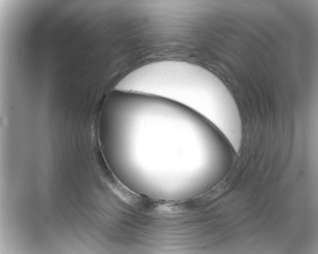 X0000068900568200605051144